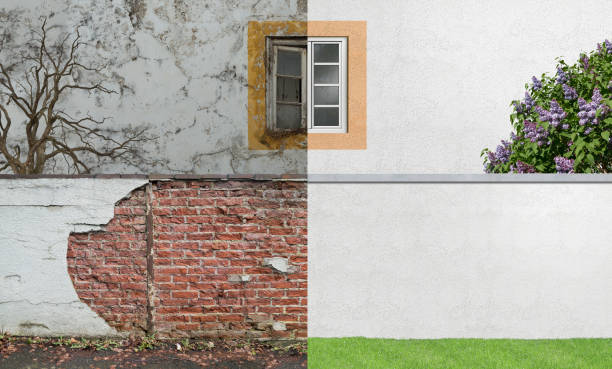 Best Real Estate Mold Inspection  in Bonanza, GA