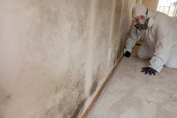 Best Comprehensive Air Testing for Mold Contaminants  in Bonanza, GA